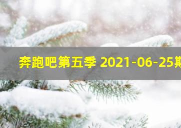 奔跑吧第五季 2021-06-25期